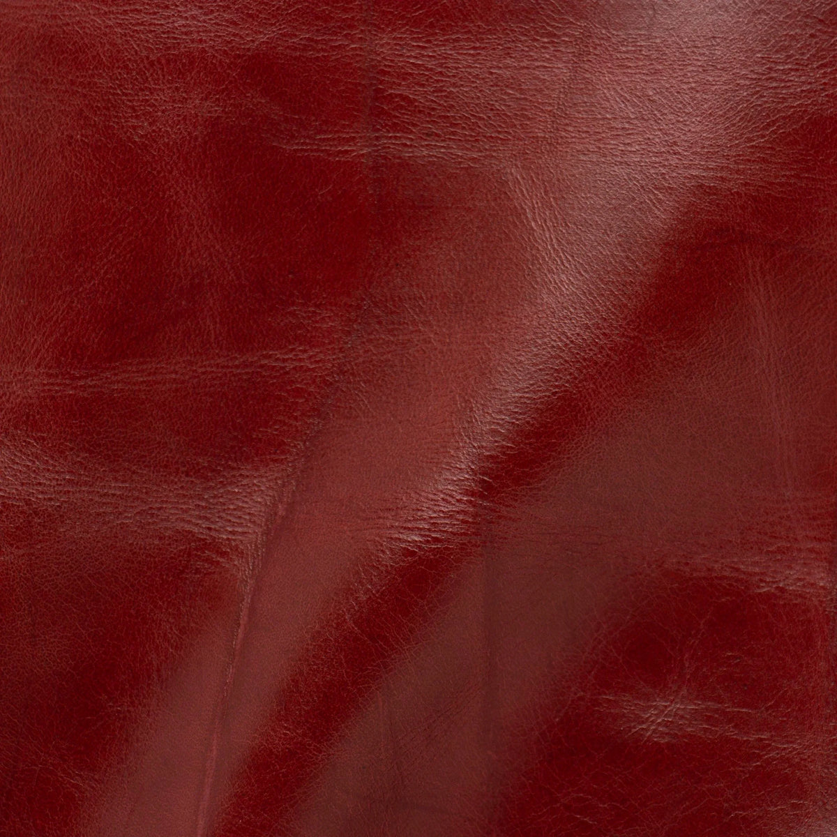 Bari Punzo Leather