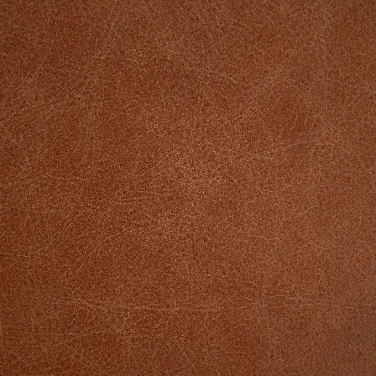 Bari Sand Leather