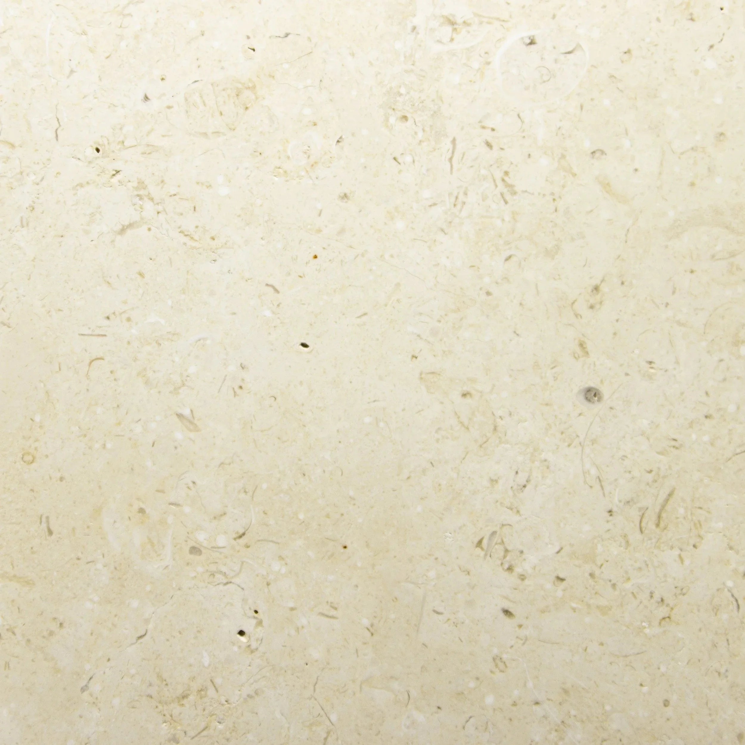 Ivory Cream Marble