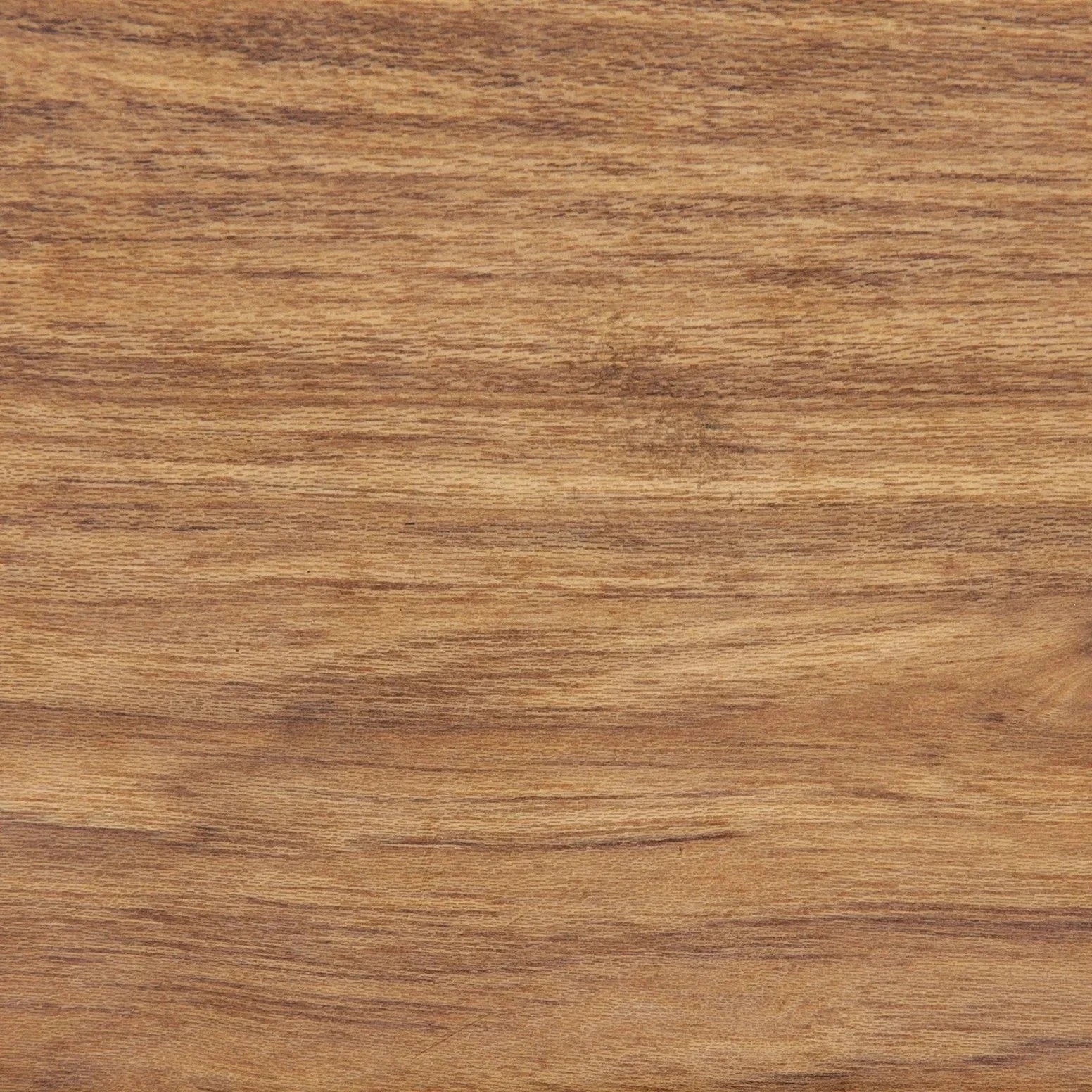 Elm