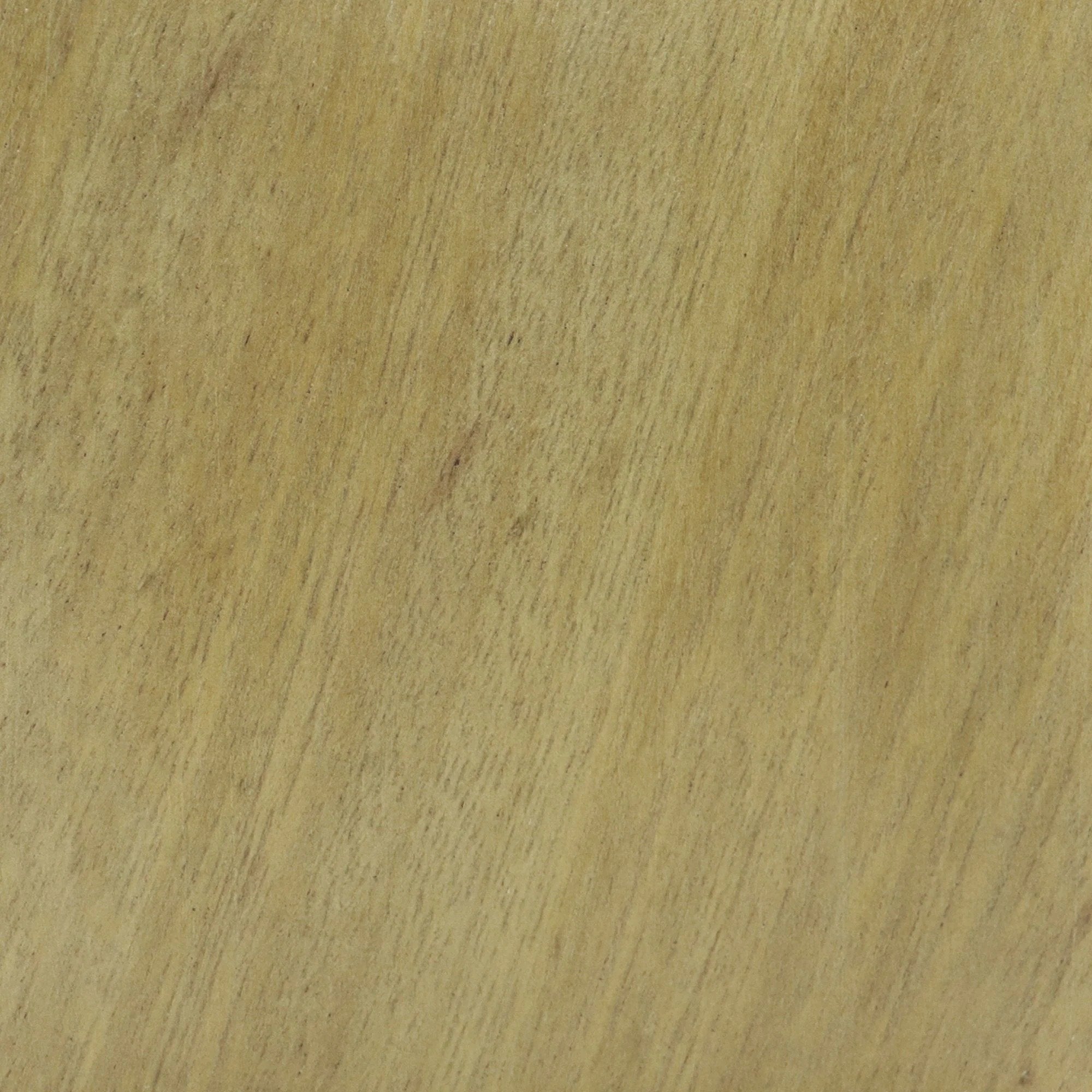 South American Oak