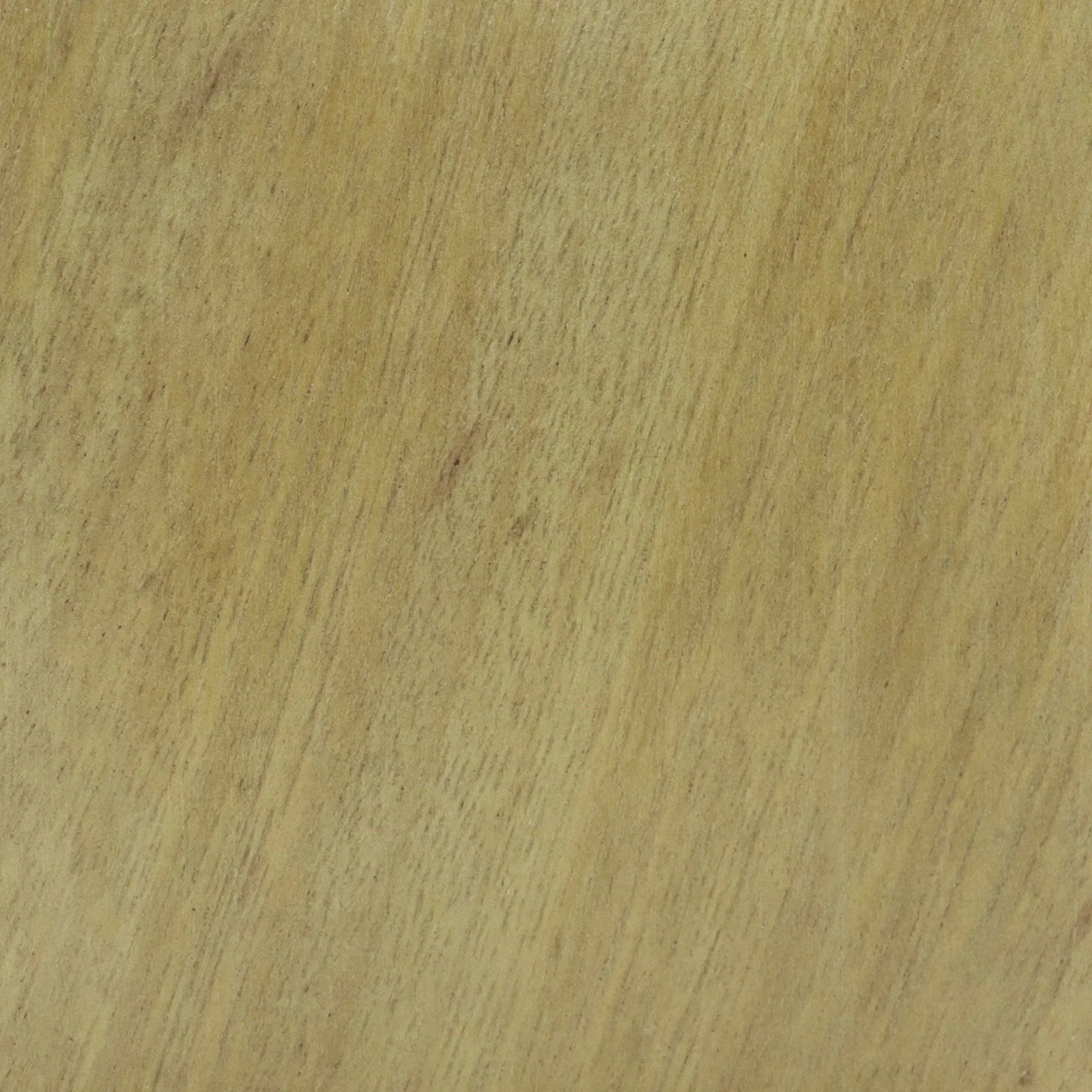 South American Oak