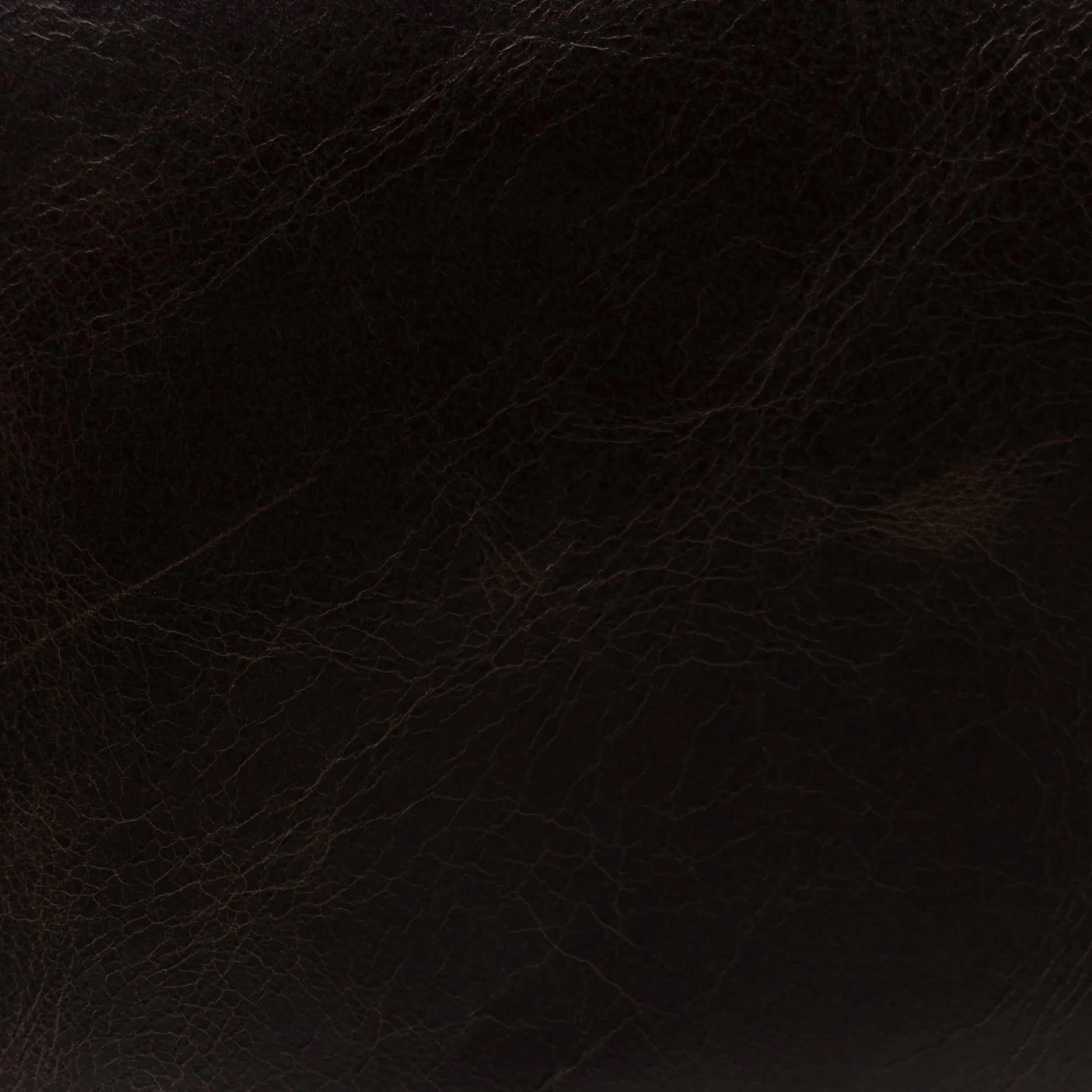 Sienna Coffee Leather
