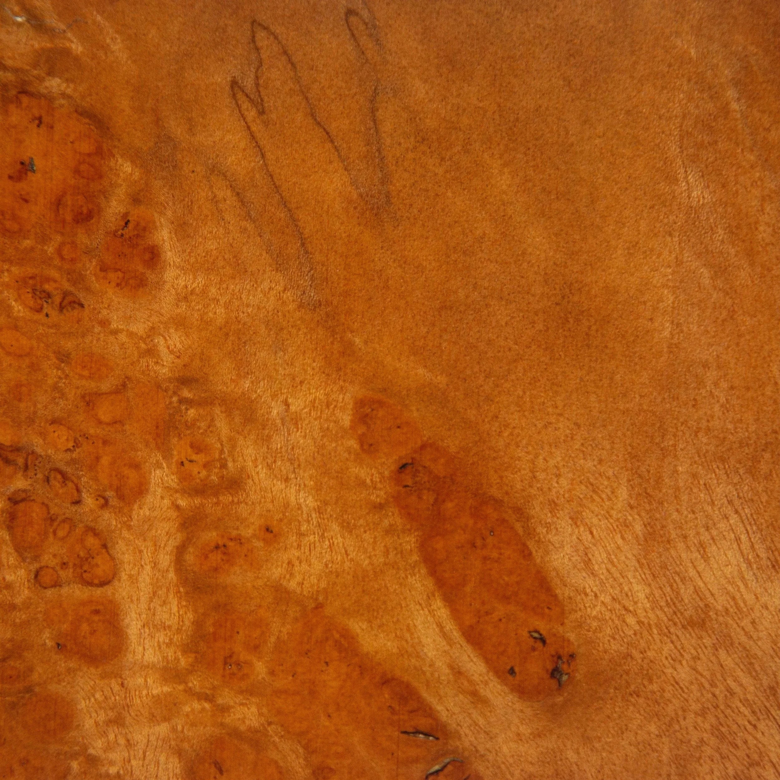 Laurel Burl