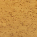 Birdseye Maple Ochre
