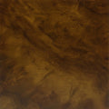 Argentine Walnut Burl