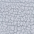Shou Sugi Ban White
