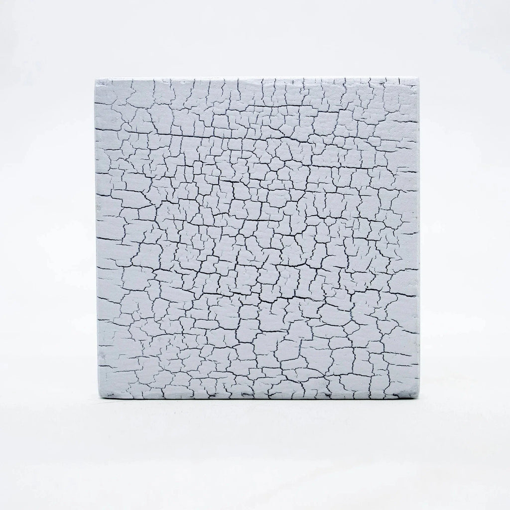 Shou Sugi Ban White