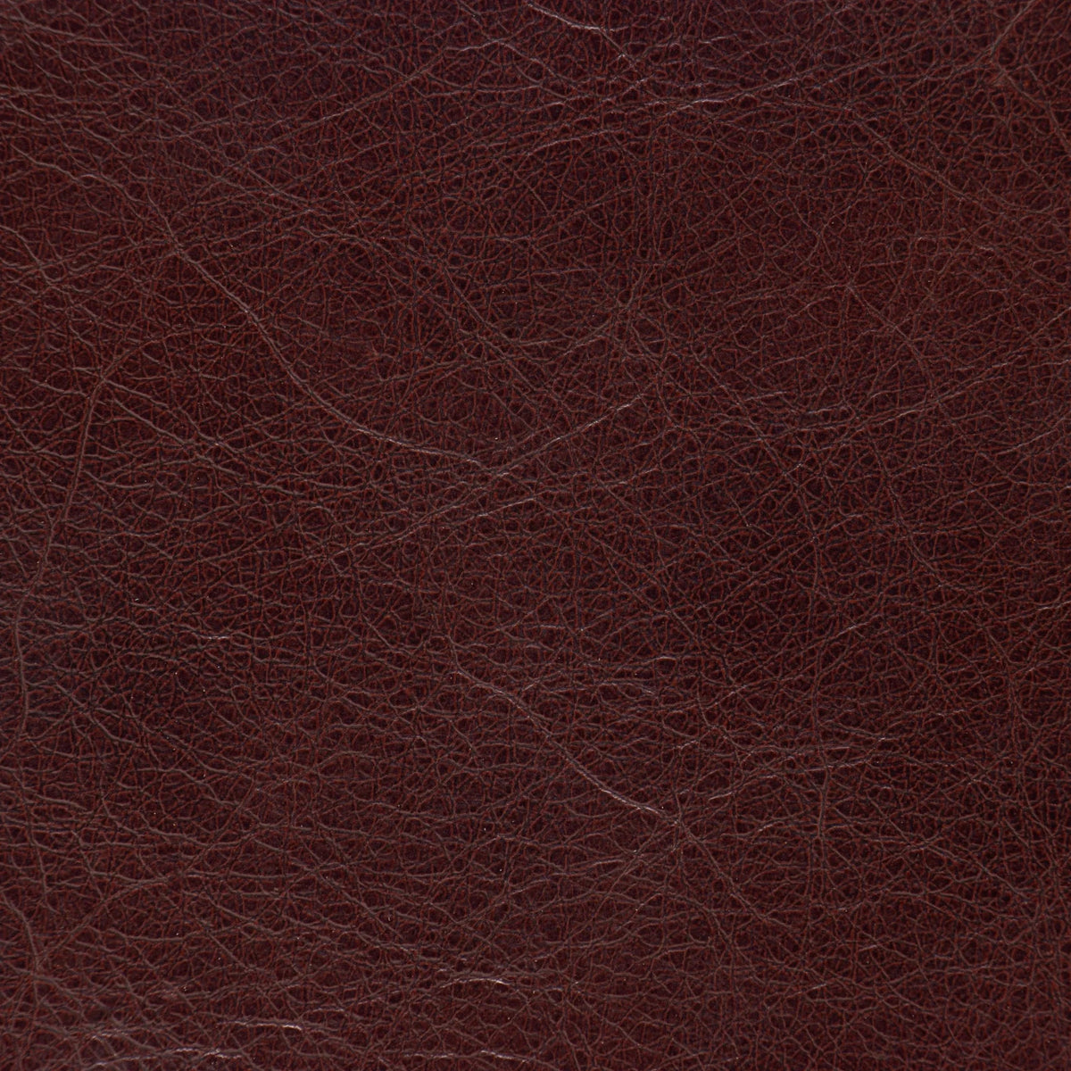 Lazio Burgundy Leather