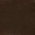 Piemonte Hazelnut Leather