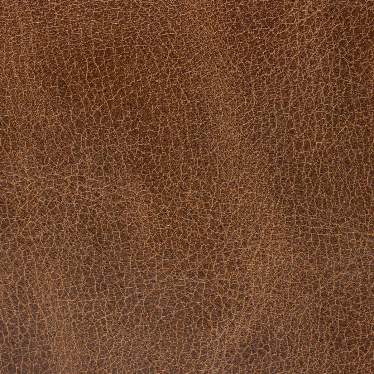 Rimini Coconout Leather