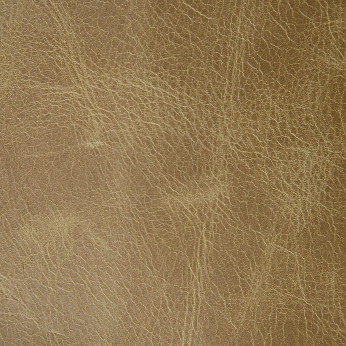Rimini Mink Leather