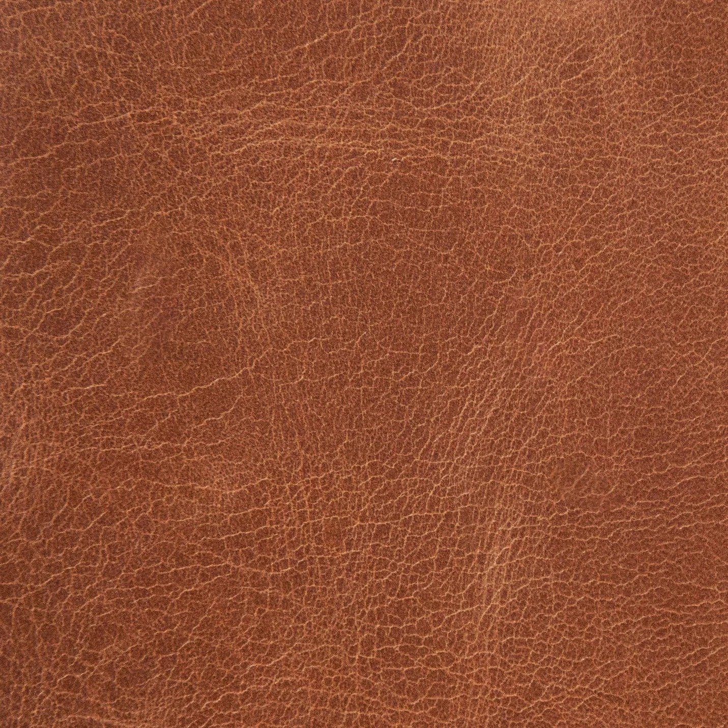 Rimini Saddle Leather