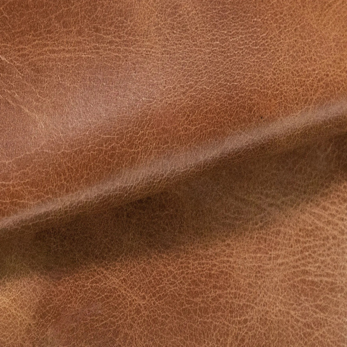 Rimini Saddle Leather