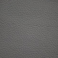 Salerno Graphite Leather