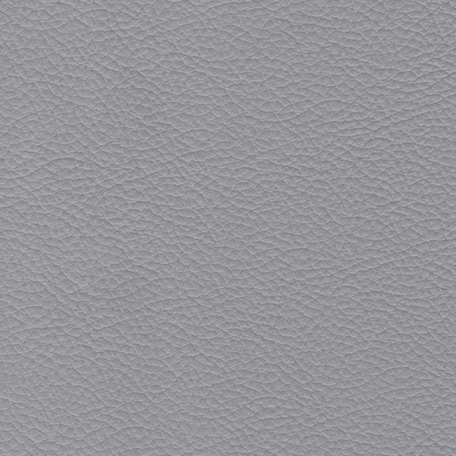 Salerno Gray Leather