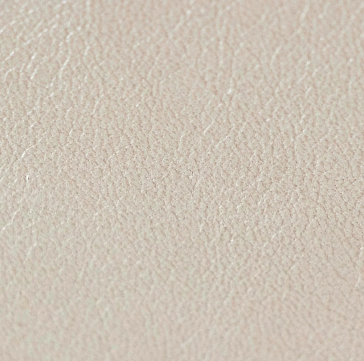 Salina Biscotti Leather