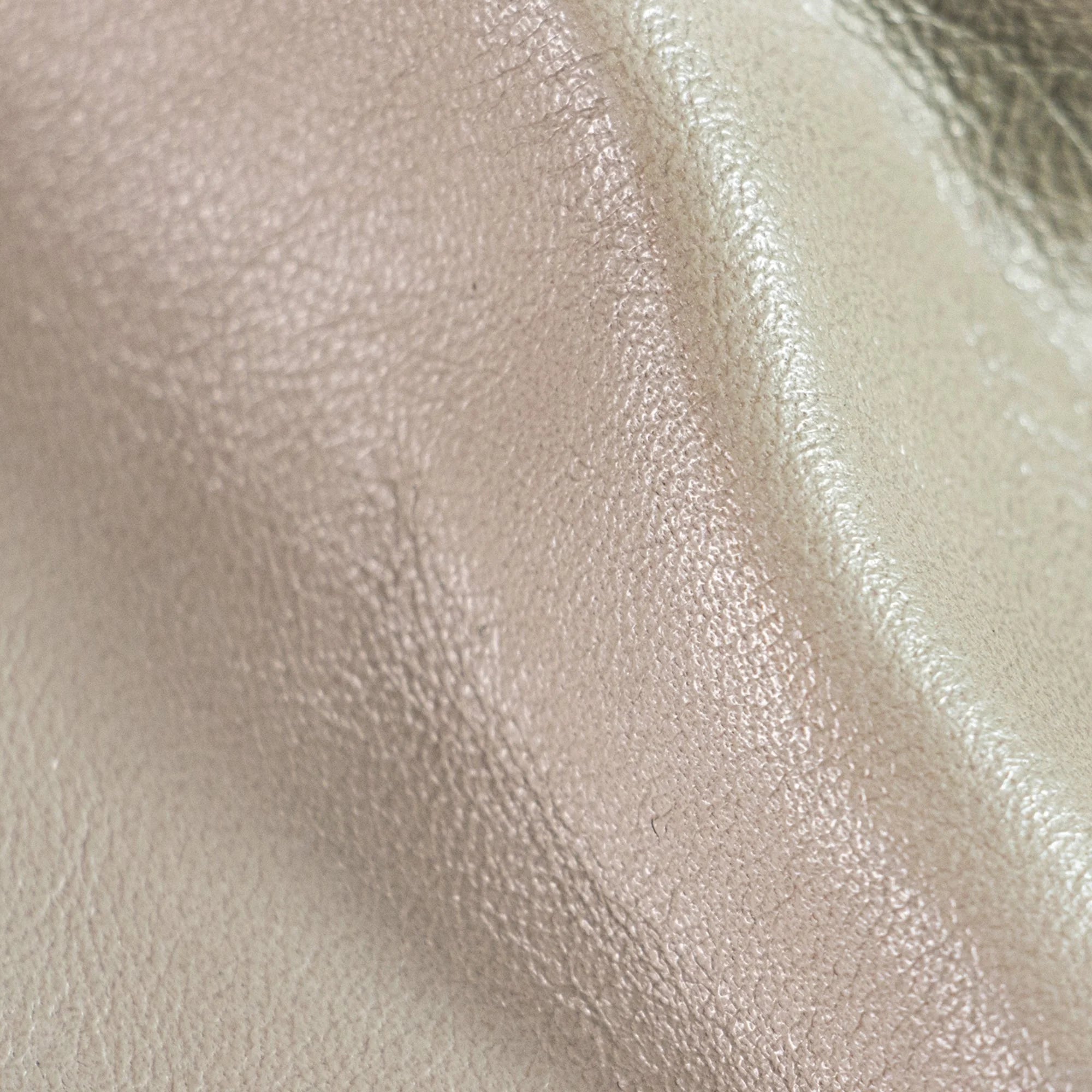 Salina Biscotti Leather