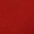 Salina Red Leather