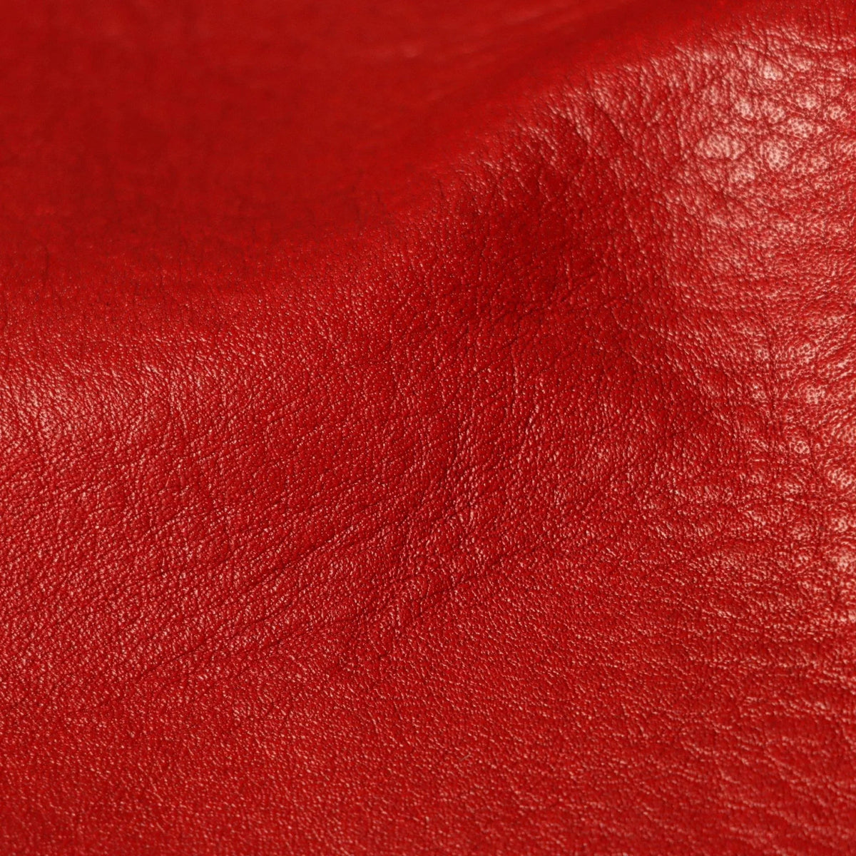 Salina Red Leather