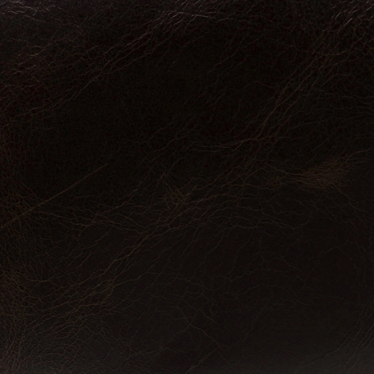 Sienna Coffee Leather