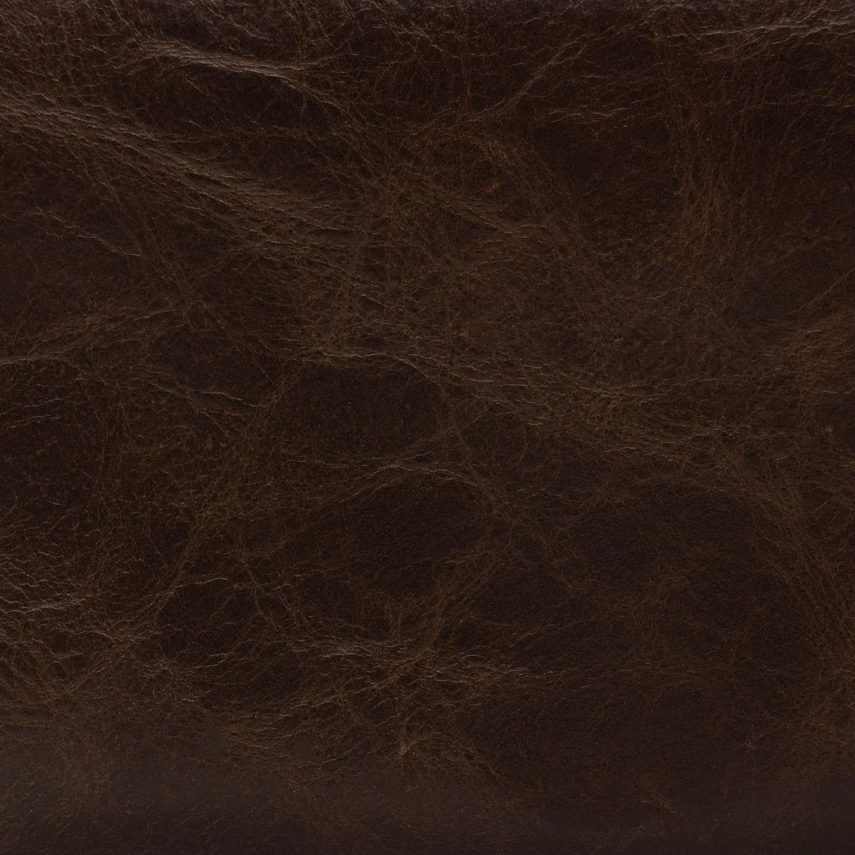 Sienna Polo Leather